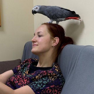 Врач птиц Елена Вигдорова 🕊️