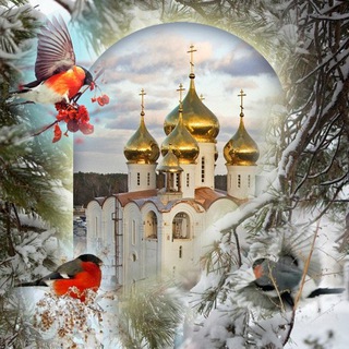 Как выжить во времена апостасии. Православие и жизнь