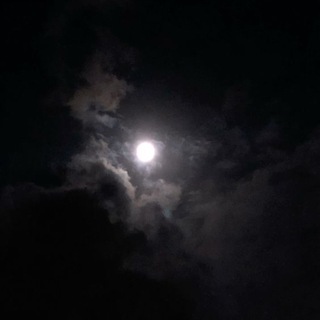 Как говорят узбекские друзья 🫂