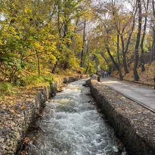 Путь к Свету