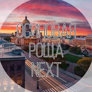 Чат жителей и доска объявлений Осиновая роща Next