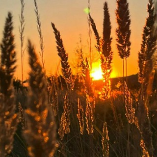 Доброе детство