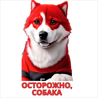 Осторожно, собака