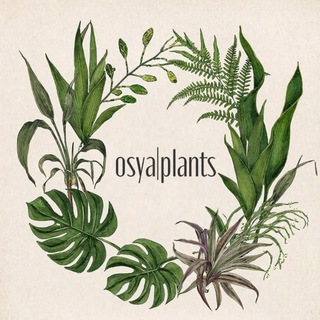 osya|plants