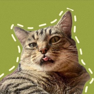 От скук интровертов