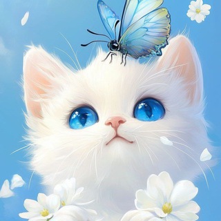 Открытки от Котика