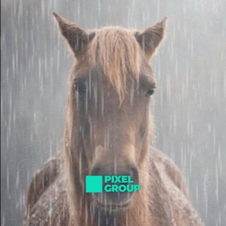 Опросы от Коня