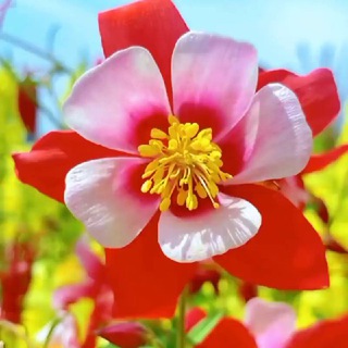 Открыточки от души.