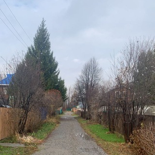 Мои откровения