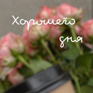 Открытки на каждый день