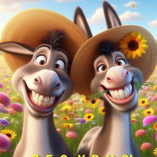 ОТКРЫТКИ > ДЛЯ УЛЫБКИ