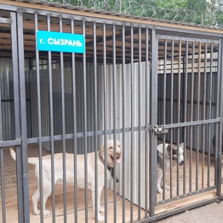 ПВС г.Сызрань