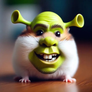 ты будешь ответы в этом году сливать?