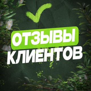 Отзывы наших клиентов