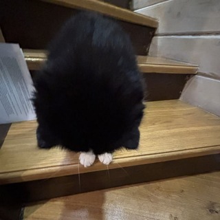 𝙢𝙞𝙧𝙖𝙣𝙖’𝙨 𝙧𝙚𝙫𝙞𝙚𝙬𝙨