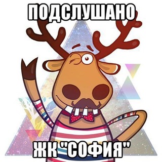 Подслушано ЖК «София» СПб