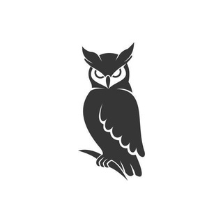 Owl Insiders | Memecoin