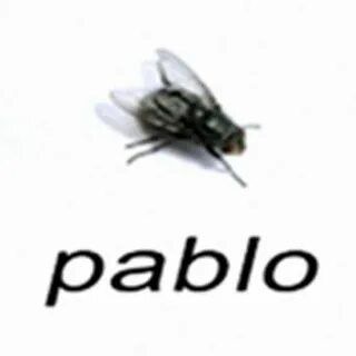 Совушкина хата🦉💓