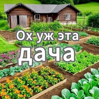 Ох уж эта дача