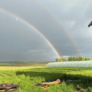 Клубничная ферма Озерки