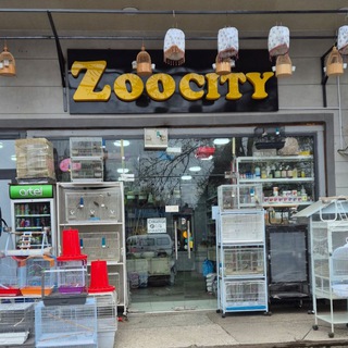 🌻OZUQADON.UZ/1🇺🇿☆🇰🇼