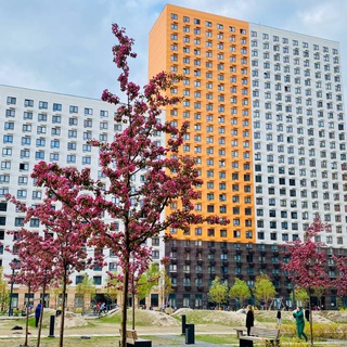 Полярная 27к4