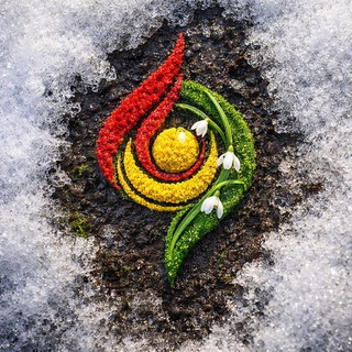 СШ "Жемчужина Алтая"