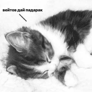 Подарки от вейтова