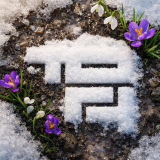 Тихоокеанский государственный университет (ТОГУ)