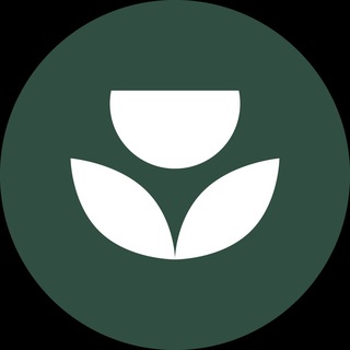 Pack Flowers-сеть студий цветов.