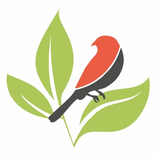 ПакетРассада | Тара для рассады и саженцев