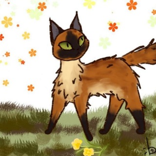 ☾︎• Палатка Темноушки [КВ]•☽︎