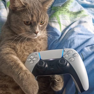 Палатка Лорда