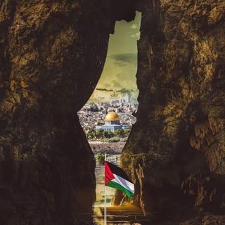 Палестина - Израиль: вся правда