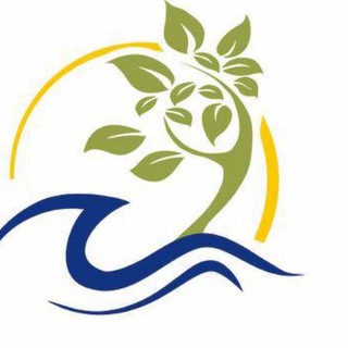 Парк-отель "Паллада" о. Сахалин 🦭