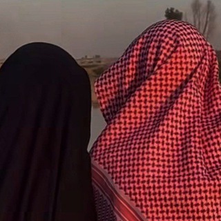 Пальма в раю