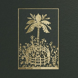 Пальма в северном саду 🌴