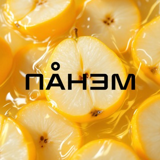 Компания ПАНЭМ