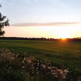 KOLHOZ ENTERTAINMENT