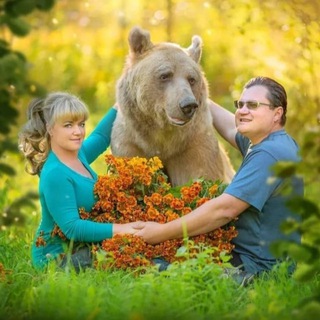 Stepan🐻Savva🐻TheBear