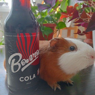 [PWT] | сковородка с гренками