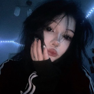 папка с альтушками