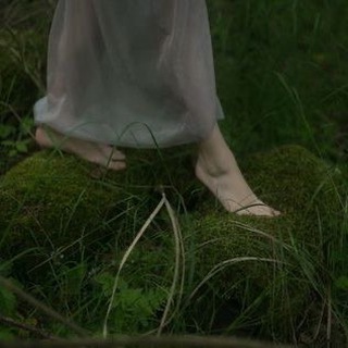 цветок папоротника