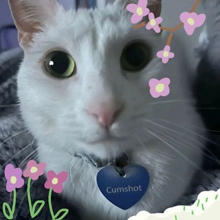 рест🩵⚖️|your parafina's blog|🩵⚖️