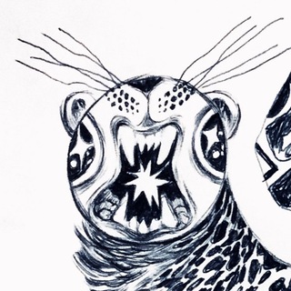 параграфика