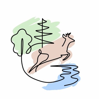 ГБУ КО «Дирекция парков»