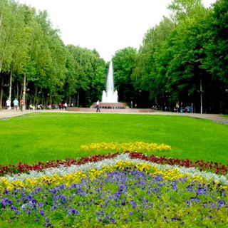 Спасаем парк Толстого в Химках!