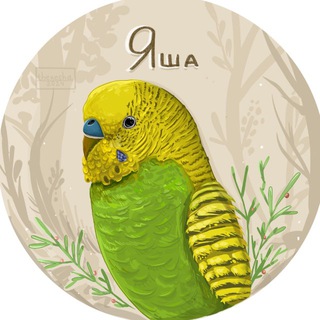 🦜 Волнистые попугайчики 🦜