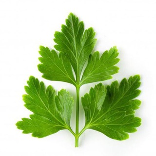 вакансии // резюме // релокация // IT