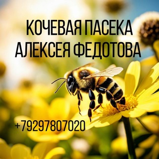 ЭКО пасека Алексея Федотова